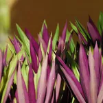 IMG_20200104_175820_2