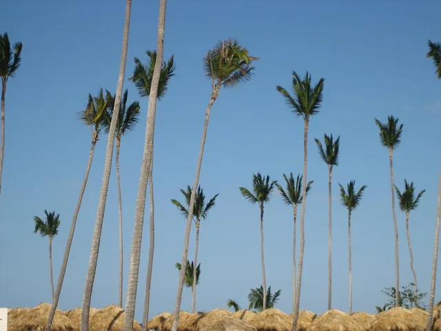 pilar3